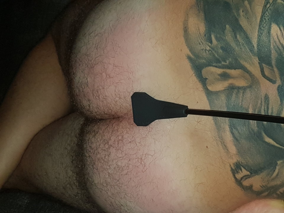 20190922_230241.jpg - Voresfraekkeliv