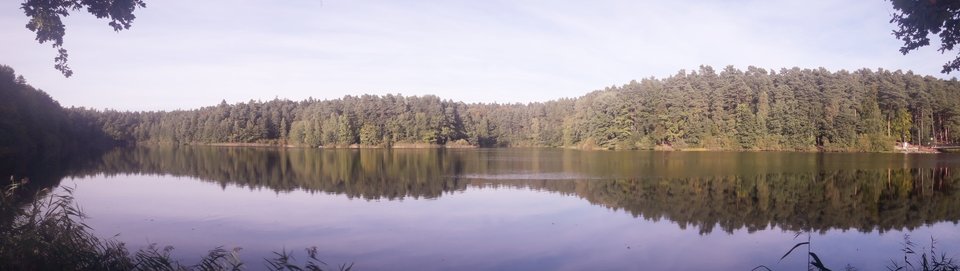 20190923_084317.jpg - dino8