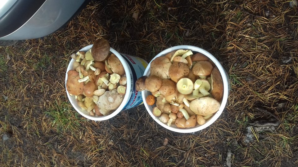 20190919_105254.jpg - Ponury48bis