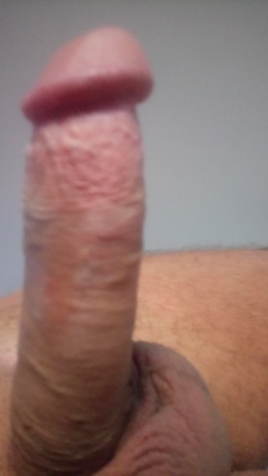 DSC_0031.JPG - banitta