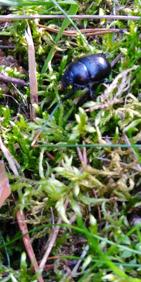 IMG_20190924_133721.jpg - Frelka_ze_wsi