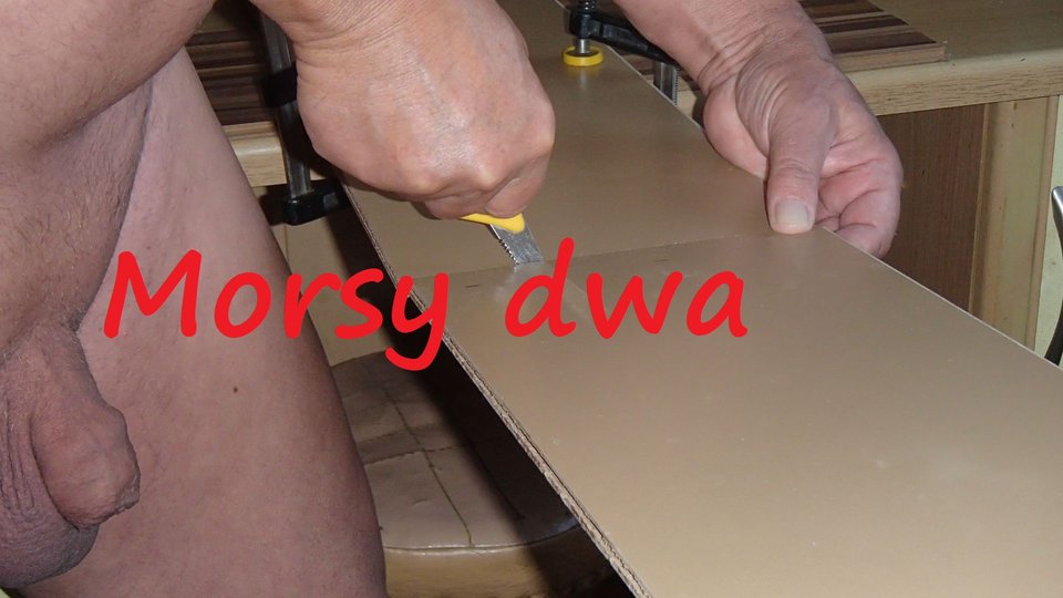 Majsterkowanie. - Morsy_dwa