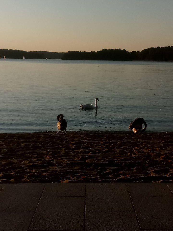 I po lecie... - dick_baba