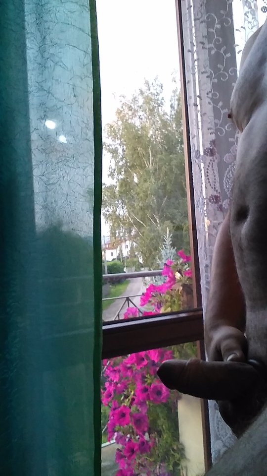 IMG_20190926_064425.jpg - xxxMarcoxxx