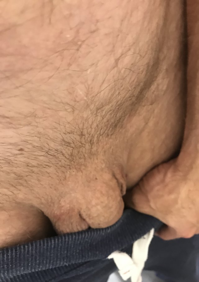 Postulantes