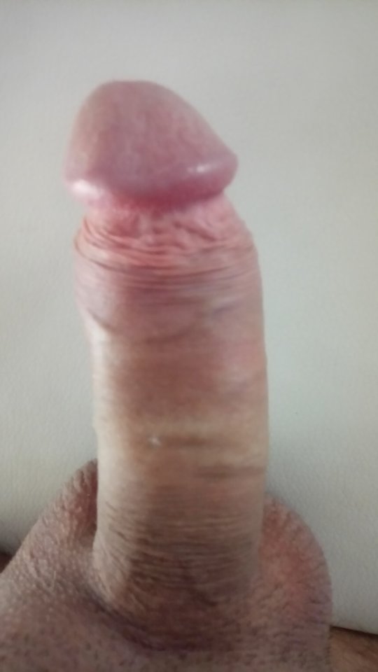 DSC_0031.JPG - banitta