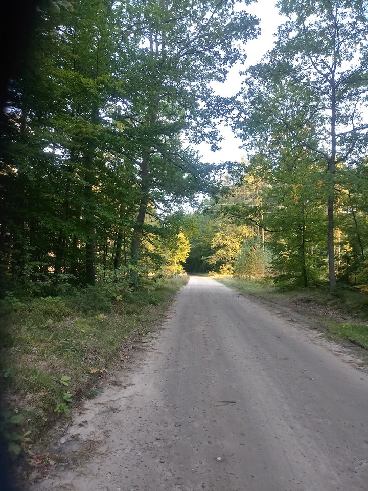 20190926_172213_HDR.jpg - dick_baba