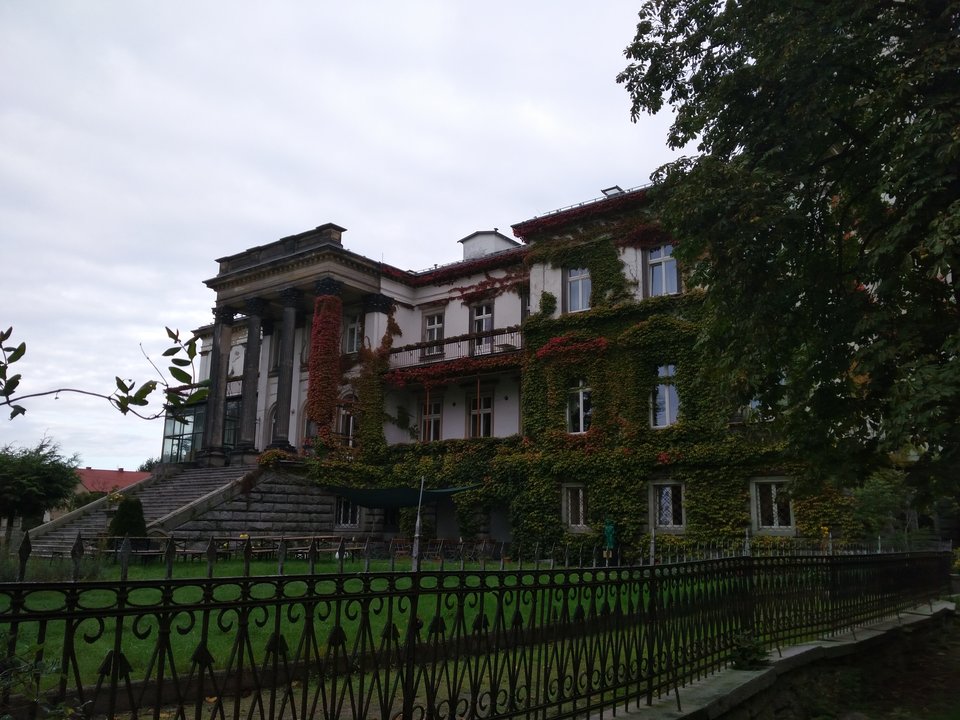 IMG_20190926_084233.jpg - wojjtemonte