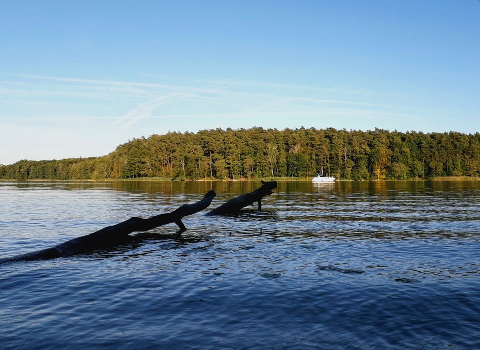 20190927_141709.jpg - Alien65