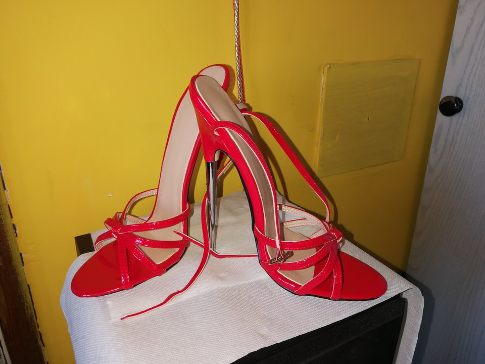 IMG_20171123_125154.jpg - heelskasia