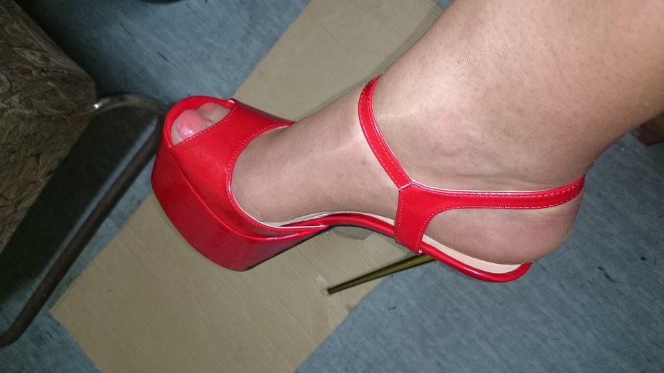 DSC_0526.JPG - heelskasia