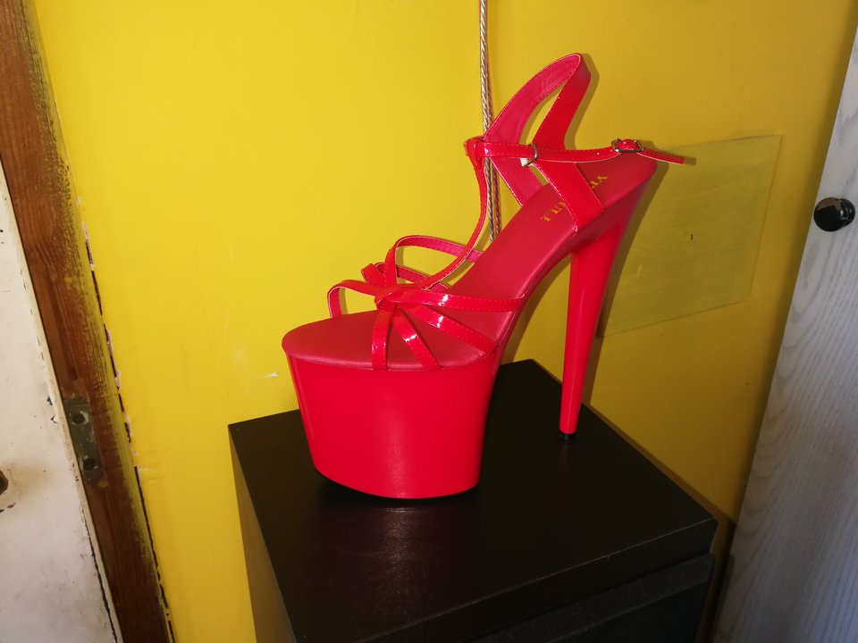 IMG_20180730_114513.jpg - heelskasia