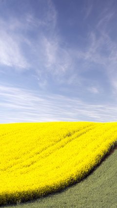 magazine-unlock-01-2.3.2022-_65a7135be1d84cc29559e300ebd0d199.jp