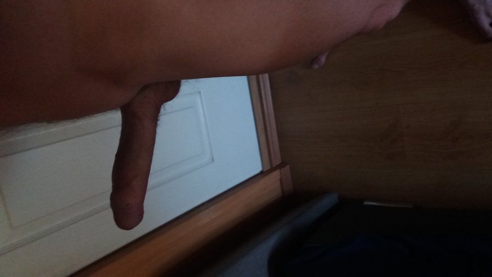 15696527493261631729183.jpg - malytwardy95