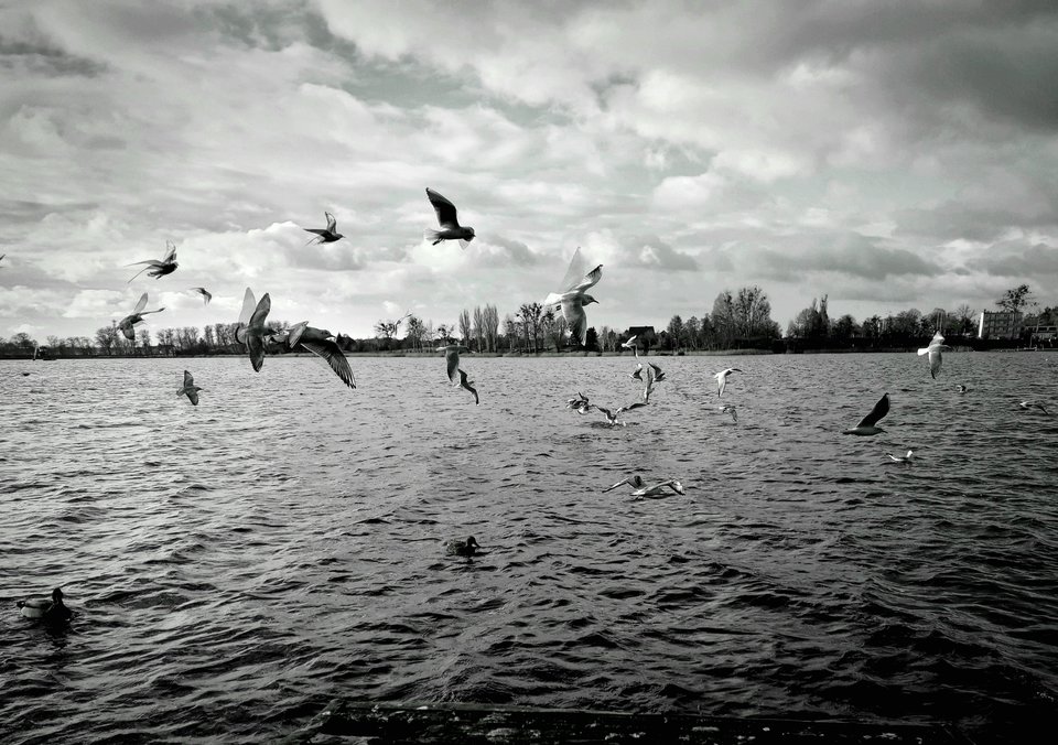 20190928_112200.jpg - Alien65