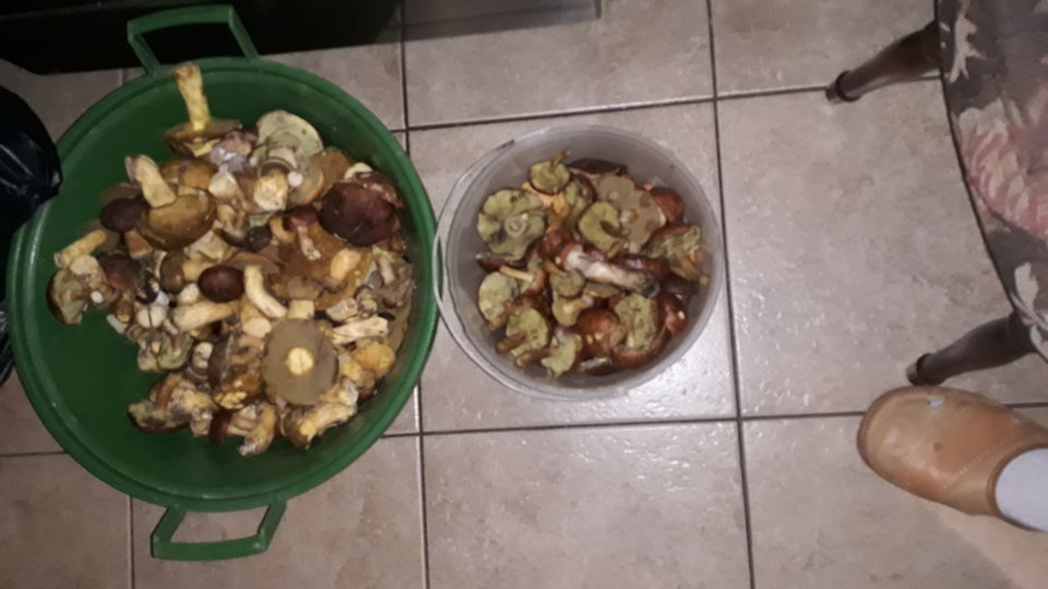 IMG-20190927-WA0021.jpeg - daroo20011