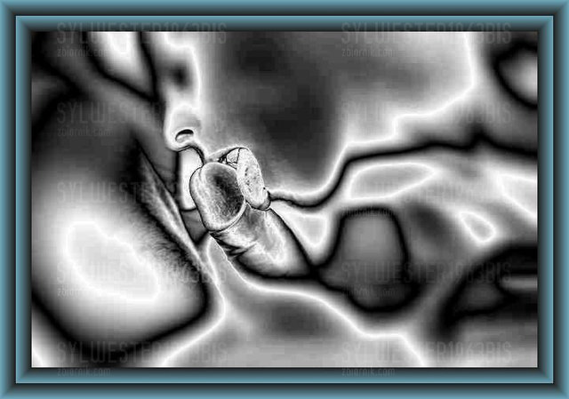 big_c32a5dfe602f9c9a613464cf283e846d.jpg - sylwester1963bis