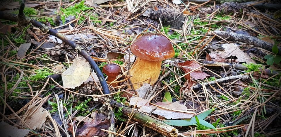 20190928_152134.jpg - namacalny_