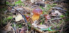 20190928_152134.jpg
