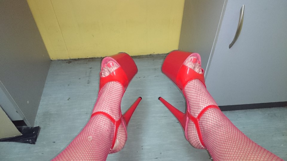 DSC_0097.JPG - heelskasia