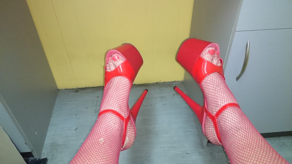 DSC_0098.JPG - heelskasia