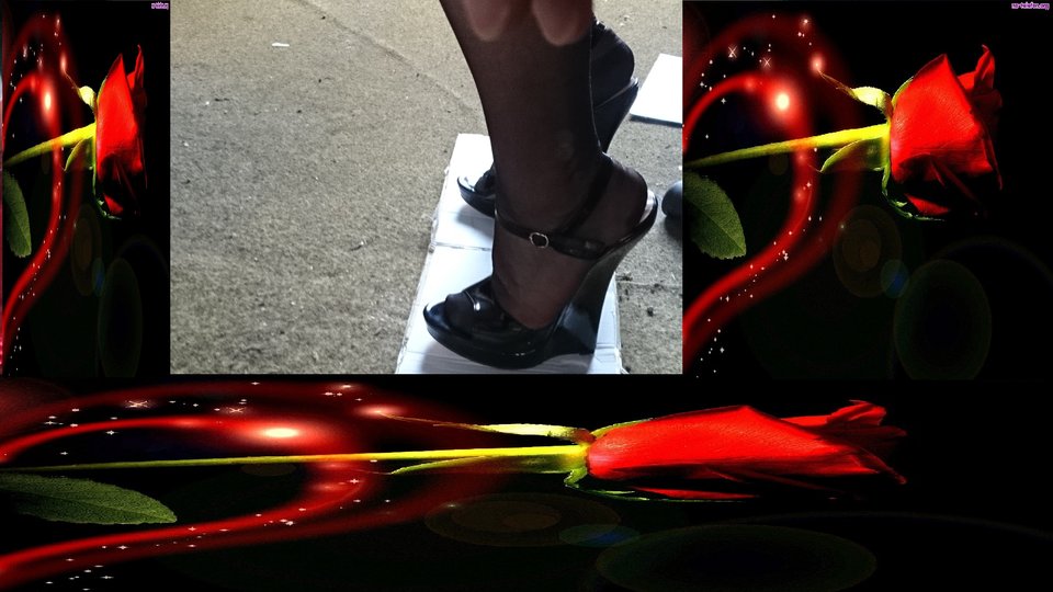 DSC_0673nnn.jpg - heelskasia