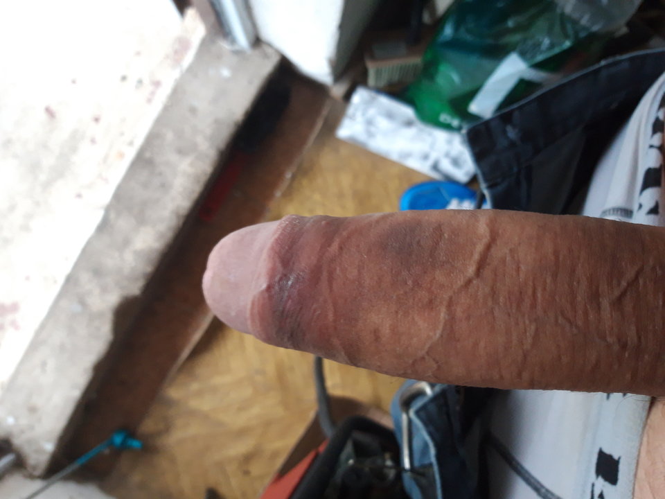 15697706352905957672848008784811.jpg - Lolek2018