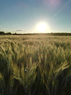 tak trochenie ta pora roku