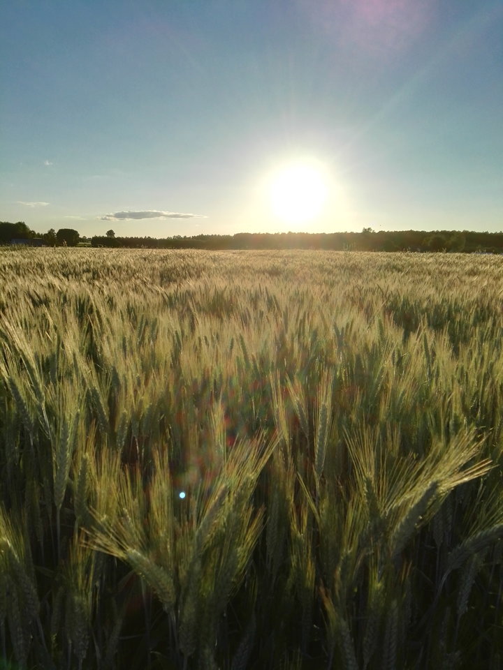 tak trochenie ta pora roku - Arrou