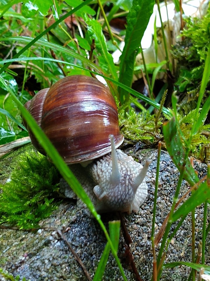 IMG_20190810_095908745.jpg - YETIBYDG