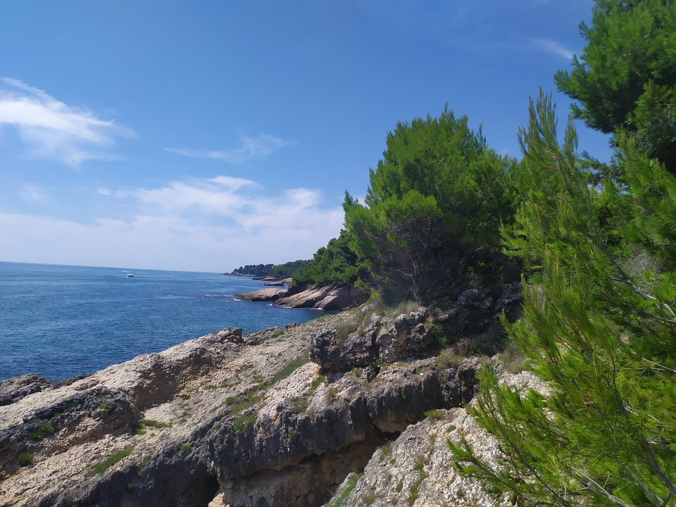 IMG_20190808_135446.jpg - Xmennmc23