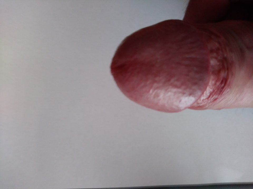 20191002_102020.jpg - zibi7878