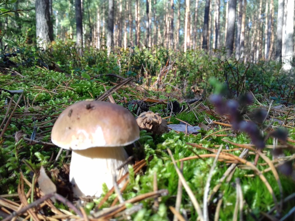 20190923_105357.jpg - torii99