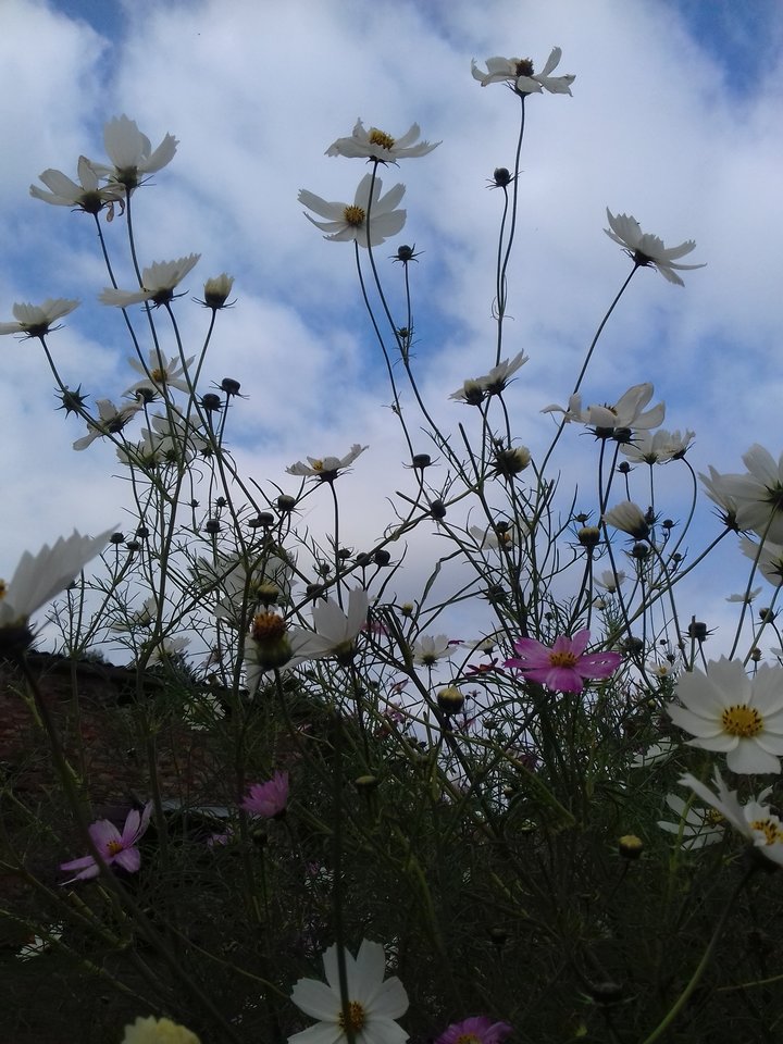 20190921_151238.jpg - torii99