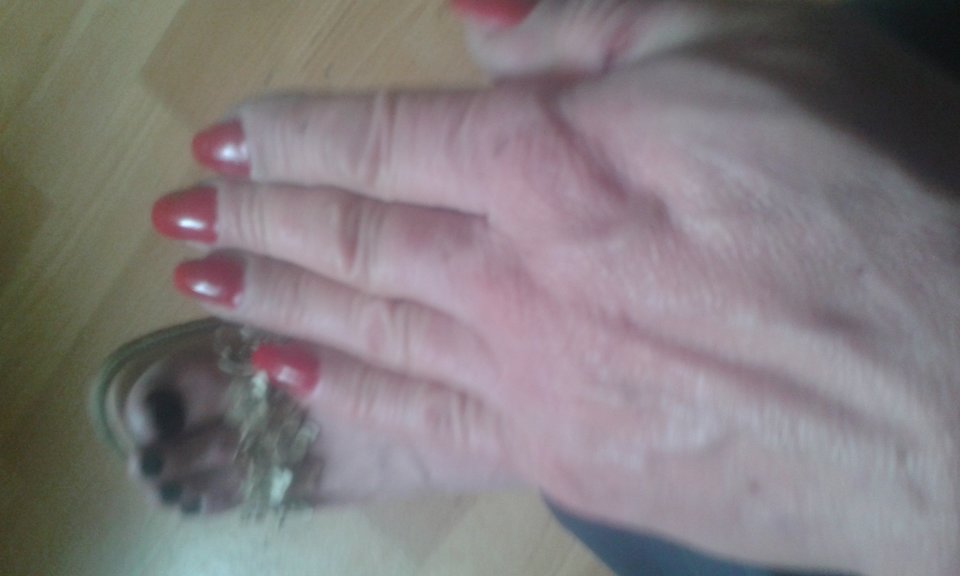 20191003_043423.jpg - niski2222