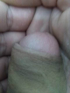 IMG_20191003_151412.jpg
