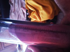 IMG_20191004_113202_BURST003.jpg