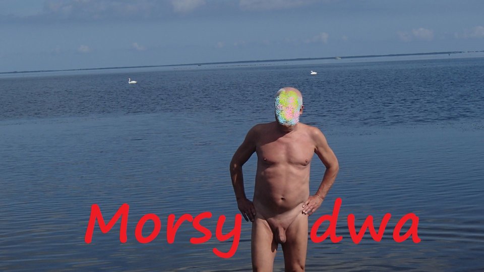 zbiornik 963 - Morsy_dwa