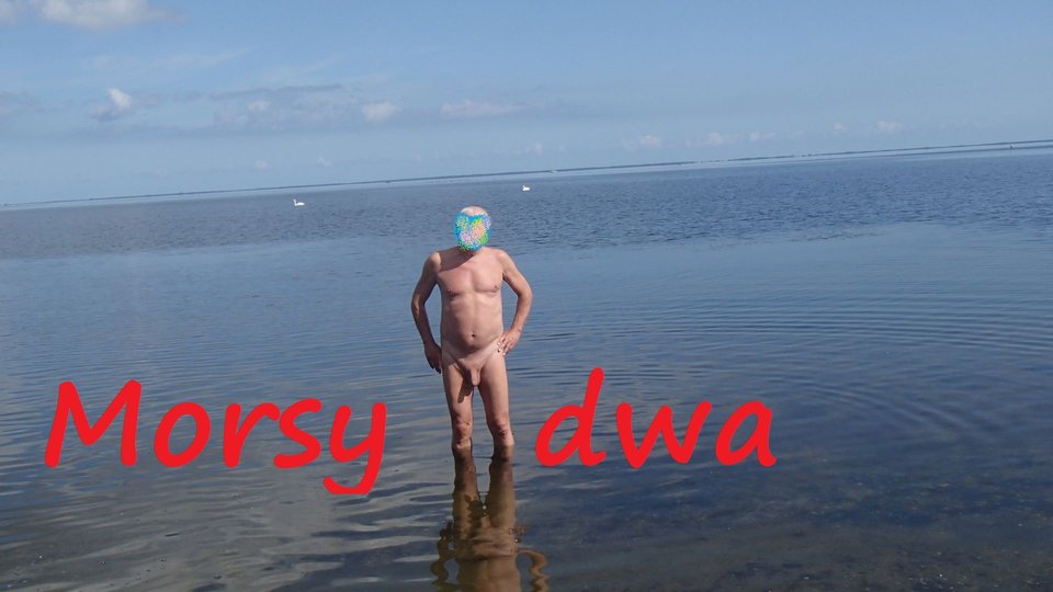 zbiornik 964 - Morsy_dwa