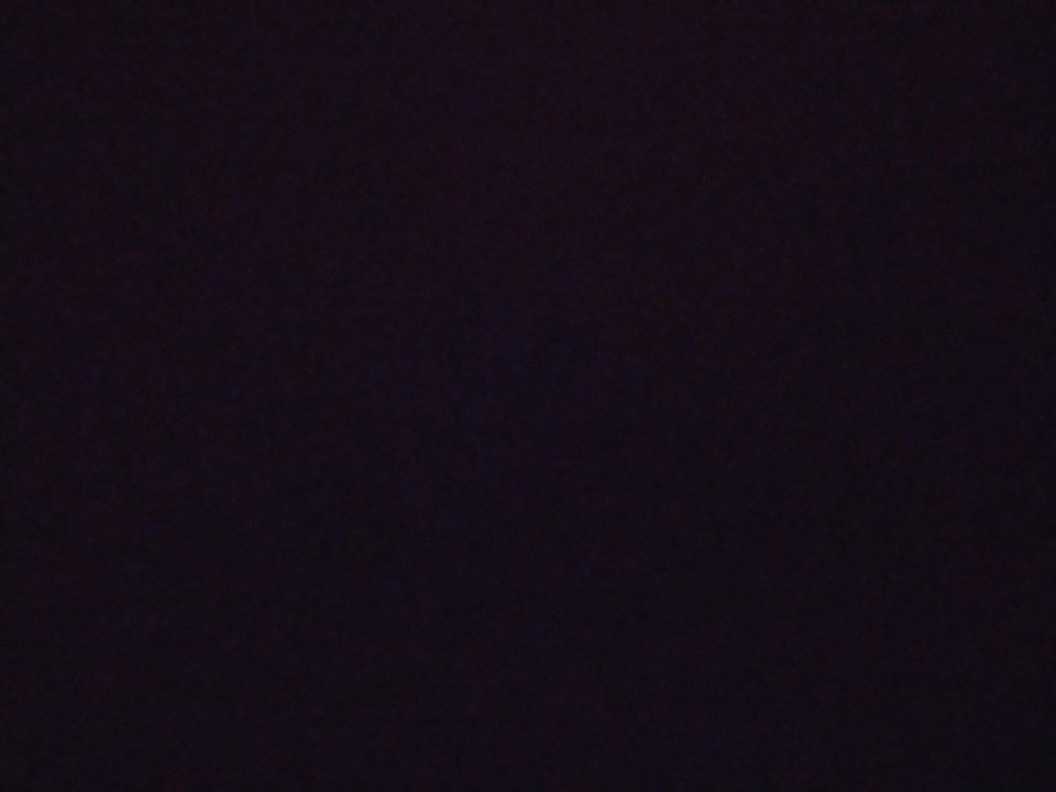 2019-10-03 18.57.53.jpg - ___CarpieDiem___