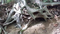 20191006_134741.jpg