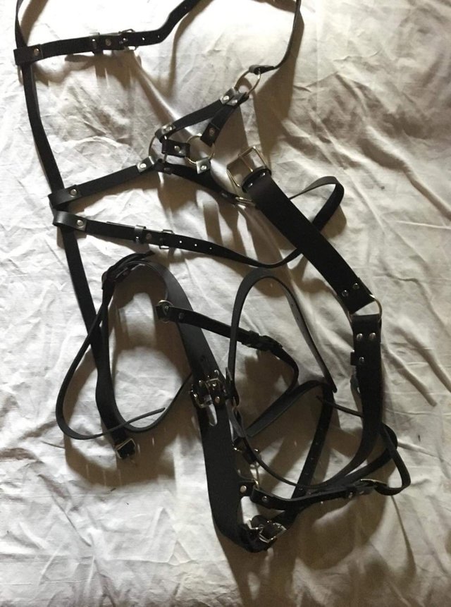 sexual_emergency_service