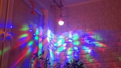 Wolisz noc, czy kolory nocy?