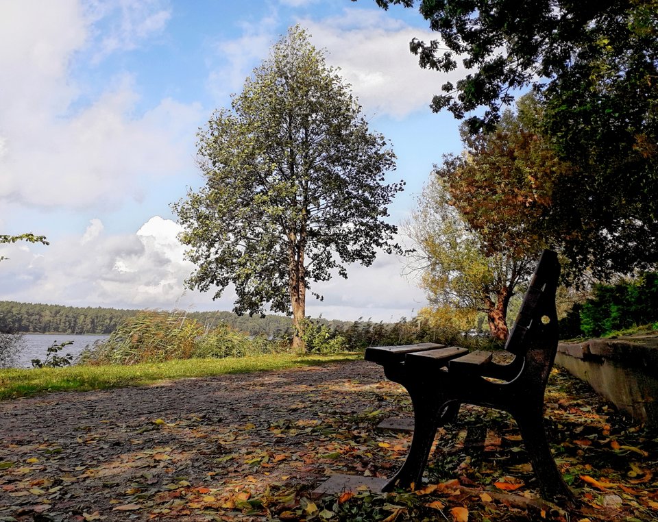 20191009_141044.jpg - Alien65