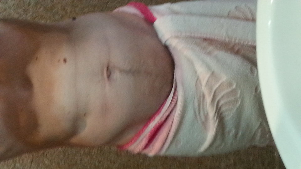 15706266230151103674172.jpg - Adam100p