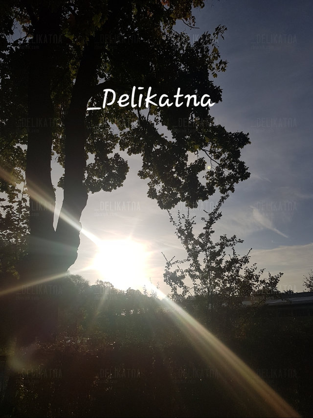 _Delikatna