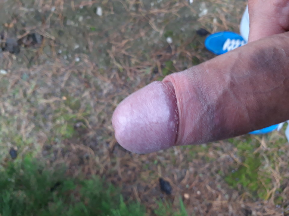 15707116206408753603339773376368.jpg - Lolek2018