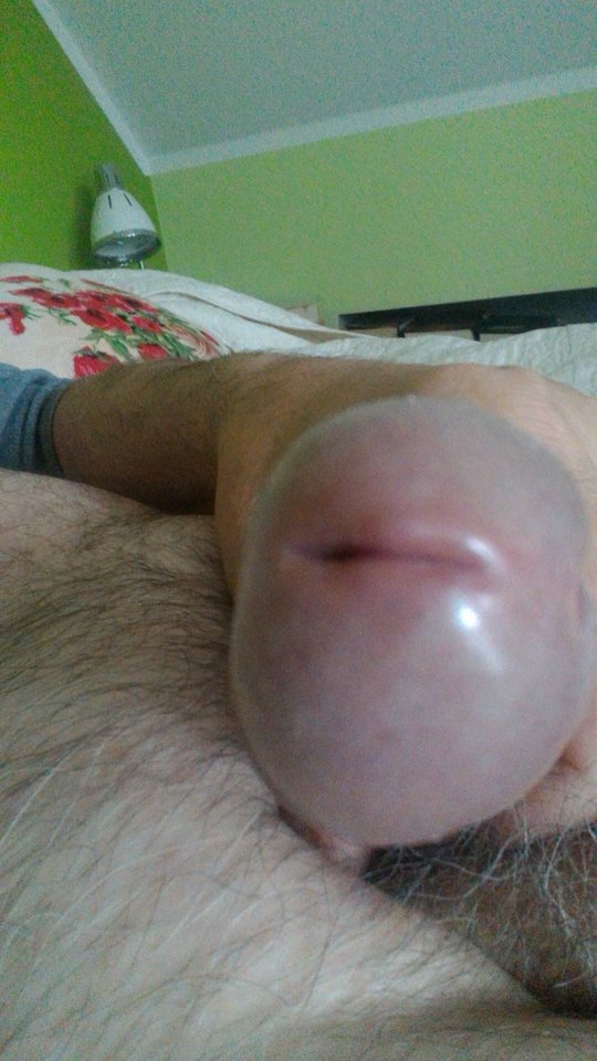 72423985_389524445335506_7056347344219930624_n.jpg - konrad5258