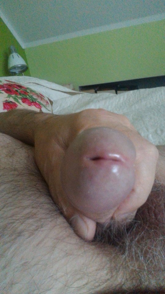 72144919_439523286689710_7954951856566829056_n.jpg - konrad5258