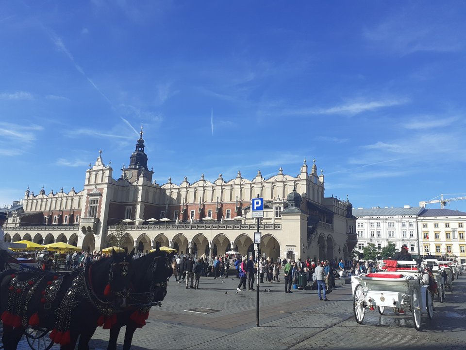 20191012_113711.jpg - Przemodkl79